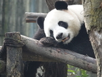 CHINA__0081