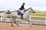 BPP_0308