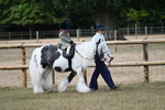 WJ7_6338