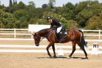 SBM_002914