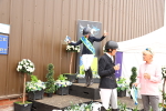 SBM_007430