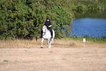 WJ6_6970