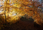 Porter Clough - Nov 2011