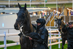 141125-Race 6-Shade Of Winter-1315