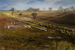Moods and Magic of the Norfolk Broads portfolio