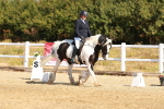 SBM_016764