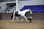 SBM_5630