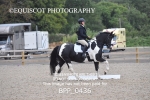 BPP_0436