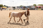 SBM_04649