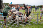 Guernsey Agricultural Show 2021-92