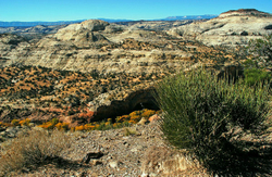 Capital Reef National Park portfolio