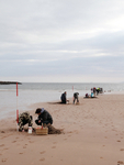 HSC006: Beach Transect