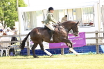 SBM_13784