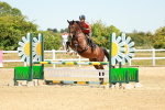 SBM_006409
