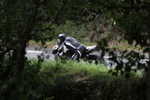 FOM_5890