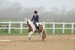 SBM_000885