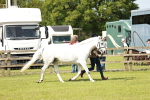 SBM_01627