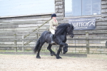 SBM_006480
