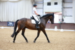 SBM_000913