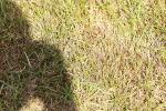 SBM_05553