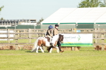 Class 106-107 - BSPS LIHS Working Sports Pony portfolio