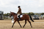 SBM_001797