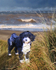 PP13  "Monty" - Tibetan Terrier puppy