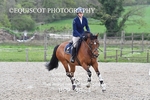 BPP_3964