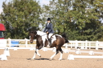 SBM_01931