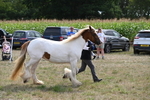 WJ6_6582
