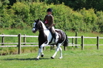 3E7A8814