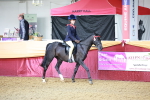 SBM_10641