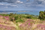 z2250 Sandown View from Ventnor Down