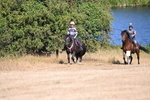 WJ6_7882