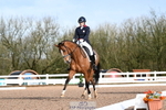 211-Charlotte.Dicker-Catherston.Timeless portfolio