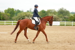 SBM_005618