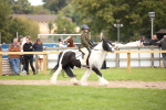 SBM_42358