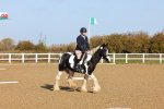 SBM_000208