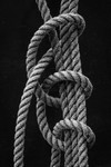 Loops