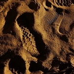 Footprints In The Sand