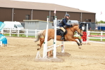 SBM_008478