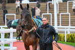 141125-Race 4-Edwardstone-0103