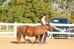 SBM_07951