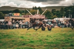DSCF7253