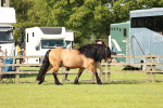 SBM_00792