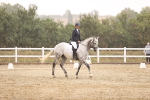 SBM_000912