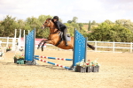 SBM_006574