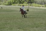 BVHT 140517  IXC -864