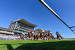 Race 6 5.07pm William Hill Keep Your Raceday Positive Handicap portfolio