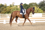 SBM_015503